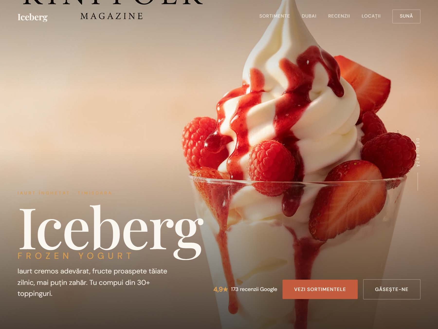 Iceberg Frozen Yogurt preview